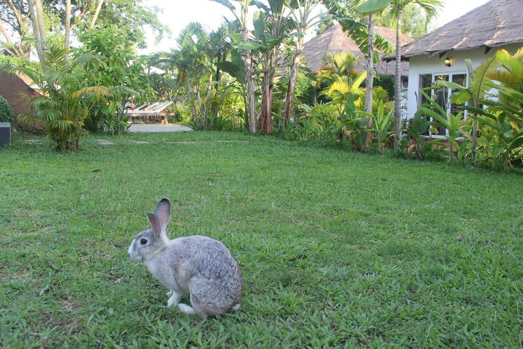 Blue Sea Boutique Hotel Sihanoukville Exteriör bild